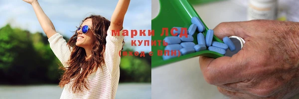 ГАЛЛЮЦИНОГЕННЫЕ ГРИБЫ Коряжма