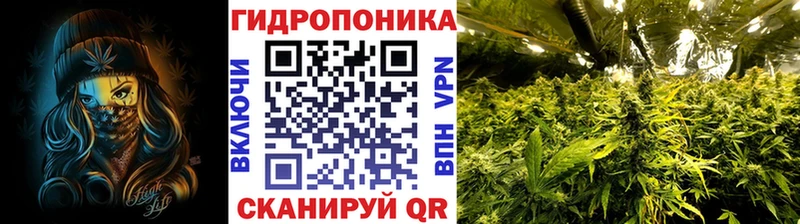 Купить где  Верхняя Салда  Бошки марихуана тримм 
